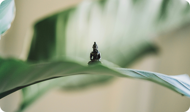 Buddha meditation statue